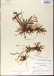 000013509-thumbnail.jpg