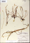 000013511-thumbnail.jpg