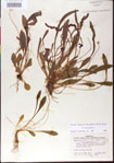 000013512-thumbnail.jpg