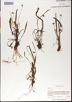 000013513-thumbnail.jpg