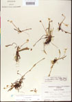 000013515-thumbnail.jpg