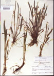 000013516-thumbnail.jpg