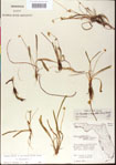 000013517-thumbnail.jpg