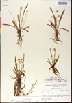 000013519-thumbnail.jpg