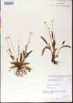 000013521-thumbnail.jpg