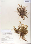 000013522-thumbnail.jpg