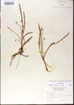000013523-thumbnail.jpg