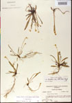 000013525-thumbnail.jpg