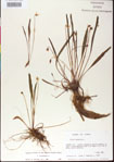 000013527-thumbnail.jpg