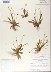 000013528-thumbnail.jpg