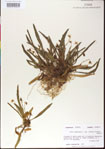 000013530-thumbnail.jpg