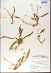 000013531-thumbnail.jpg