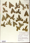 000013545-thumbnail.jpg