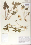 000013548-thumbnail.jpg