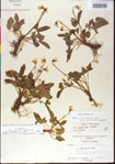 000013549-thumbnail.jpg
