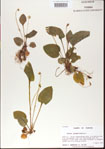 000013555-thumbnail.jpg