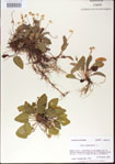 000013556-thumbnail.jpg