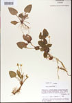 000013557-thumbnail.jpg
