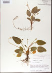 000013562-thumbnail.jpg