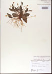 000013563-thumbnail.jpg