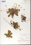 000013565-thumbnail.jpg