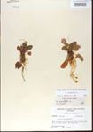 000013566-thumbnail.jpg