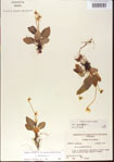 000013573-thumbnail.jpg