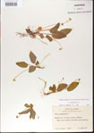 000013574-thumbnail.jpg