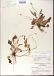 000013576-thumbnail.jpg