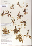 000013578-thumbnail.jpg