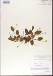 000013579-thumbnail.jpg