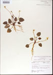 000013580-thumbnail.jpg