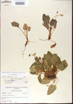 000013582-thumbnail.jpg