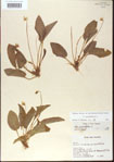 000013583-thumbnail.jpg