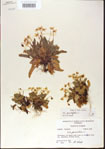 000013586-thumbnail.jpg