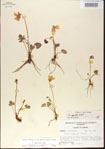 000013589-thumbnail.jpg
