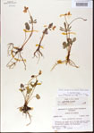 000013590-thumbnail.jpg