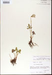 000013592-thumbnail.jpg