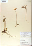 000013593-thumbnail.jpg