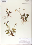 000013594-thumbnail.jpg