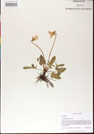 000013599-thumbnail.jpg