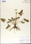 000013600-thumbnail.jpg