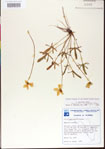 000013601-thumbnail.jpg