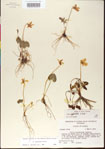 000013604-thumbnail.jpg