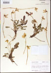 000013616-thumbnail.jpg
