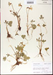 000013617-thumbnail.jpg