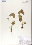 000013619-thumbnail.jpg