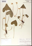 000013620-thumbnail.jpg