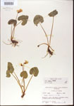 000013623-thumbnail.jpg