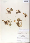 000013627-thumbnail.jpg